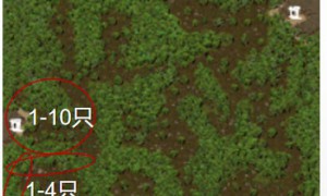 传奇3打金币路线-丛林迷宫篇